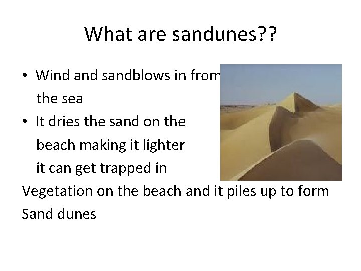 What are sandunes? ? • Wind and sandblows in from the sea • It What are sandunes? ? • Wind and sandblows in from the sea • It