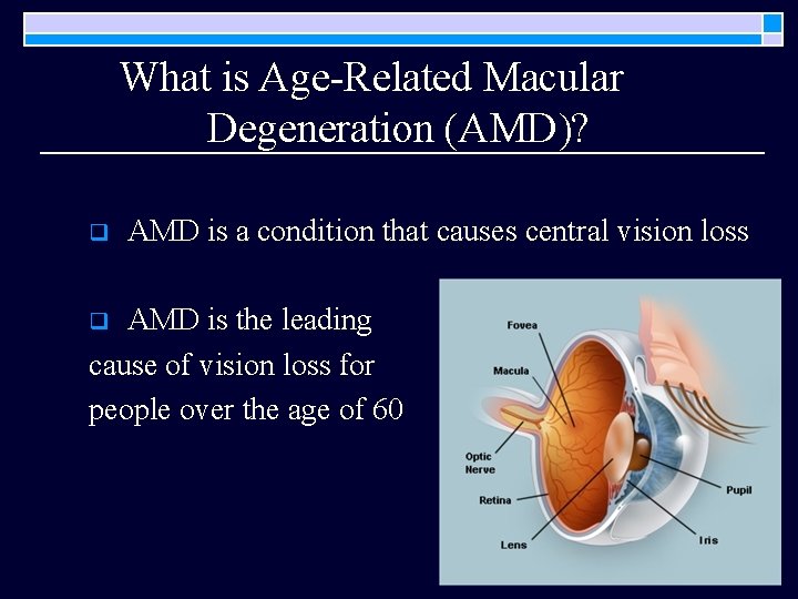 What is Age-Related Macular Degeneration (AMD)? q AMD is a condition that causes central What is Age-Related Macular Degeneration (AMD)? q AMD is a condition that causes central