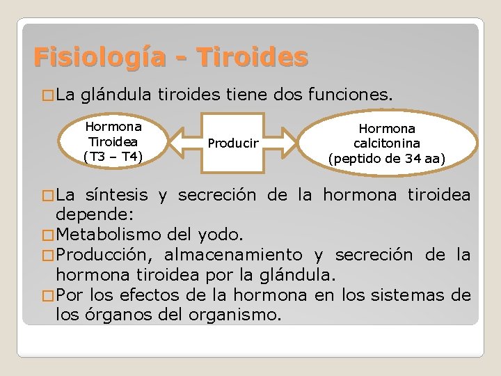 Fisiología - Tiroides � La glándula tiroides tiene dos funciones. Hormona Tiroidea (T 3 Fisiología - Tiroides � La glándula tiroides tiene dos funciones. Hormona Tiroidea (T 3
