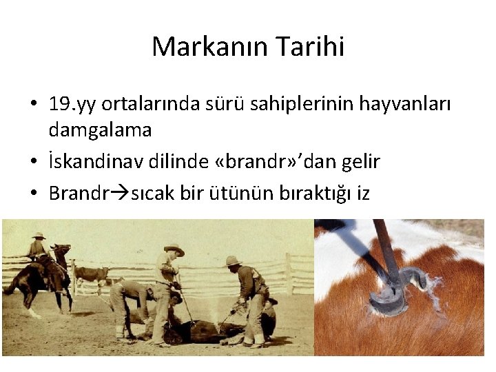 Markanın Tarihi • 19. yy ortalarında sürü sahiplerinin hayvanları damgalama • İskandinav dilinde «brandr»