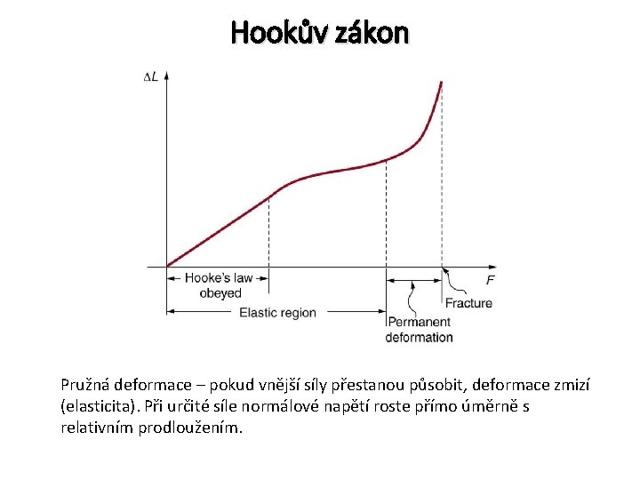 Hookův zákon Pružná deformace – pokud vnější síly přestanou působit, deformace zmizí (elasticita). Při