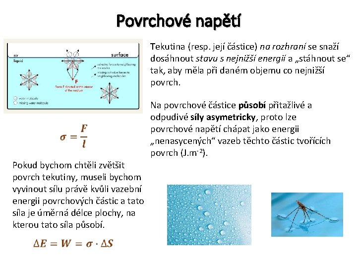 Povrchové napětí Tekutina (resp. její částice) na rozhraní se snaží dosáhnout stavu s nejnižší