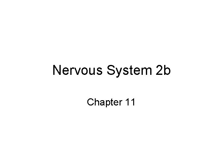 Nervous System 2 b Chapter 11 