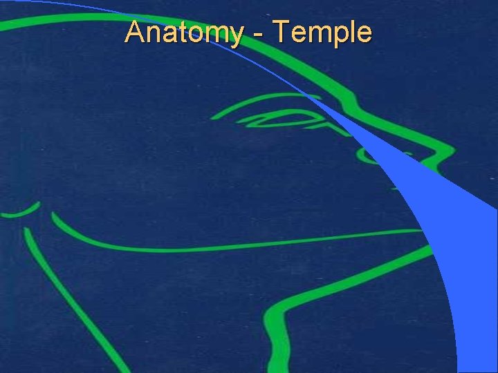 Anatomy - Temple 