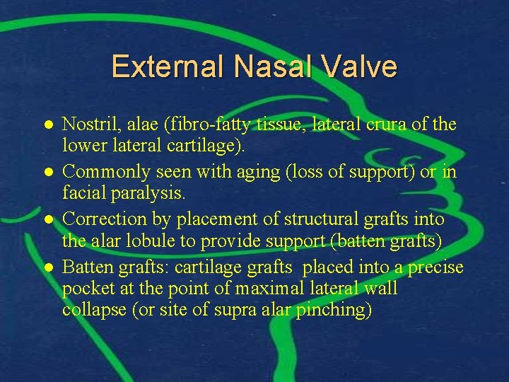 External Nasal Valve l l Nostril, alae (fibro-fatty tissue, lateral crura of the lower