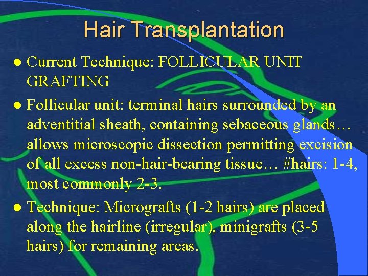 Hair Transplantation Current Technique: FOLLICULAR UNIT GRAFTING l Follicular unit: terminal hairs surrounded by