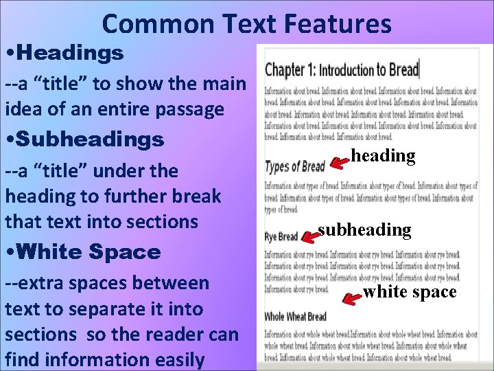 Common Text Features • Headings --a “title” to show the main idea of an