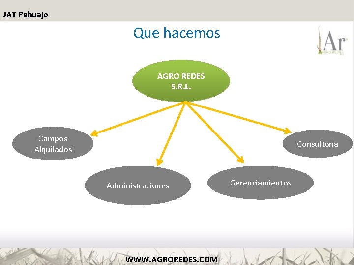 JAT Pehuajo Que hacemos AGRO REDES S. R. L. Campos Alquilados Consultoría Administraciones WWW.