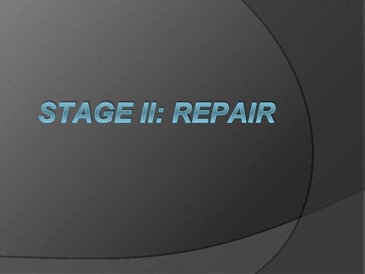 STAGE II: REPAIR 