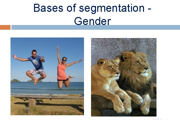 Bases of segmentation Gender 