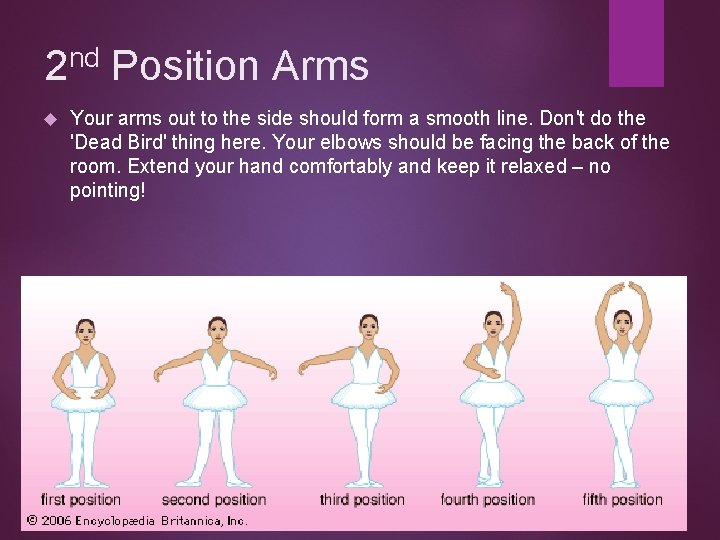 nd 2 Position Arms Your arms out to the side should form a smooth