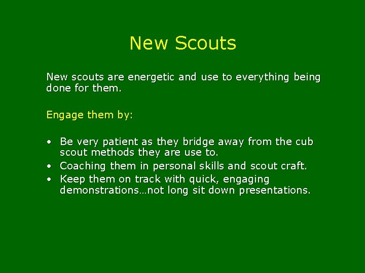 New Scouts New scouts are energetic and use to everything being done for them.
