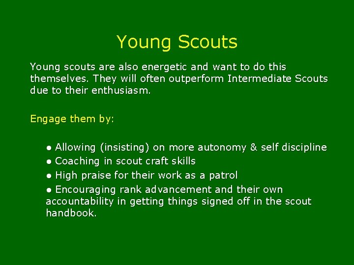 Young Scouts Young scouts are also energetic and want to do this themselves. They