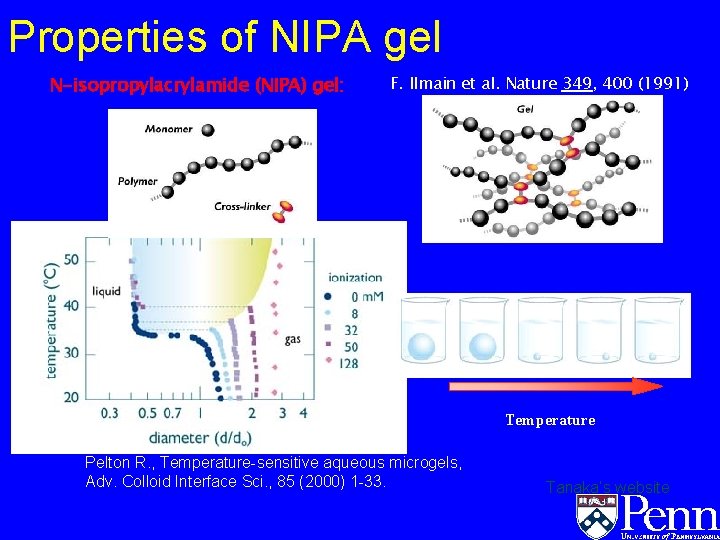 Properties of NIPA gel N-isopropylacrylamide (NIPA) gel: F. Ilmain et al. Nature 349, 400 Properties of NIPA gel N-isopropylacrylamide (NIPA) gel: F. Ilmain et al. Nature 349, 400