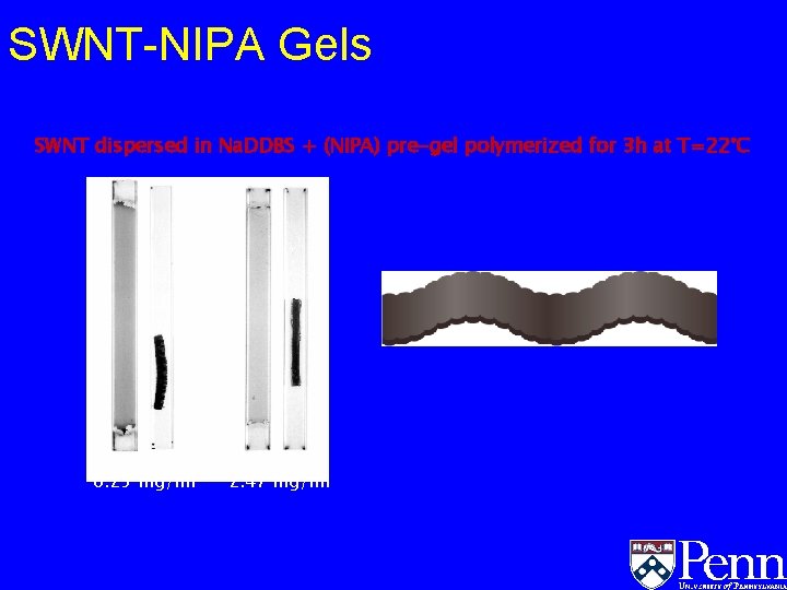 SWNT-NIPA Gels SWNT dispersed in Na. DDBS + (NIPA) pre-gel polymerized for 3 h SWNT-NIPA Gels SWNT dispersed in Na. DDBS + (NIPA) pre-gel polymerized for 3 h