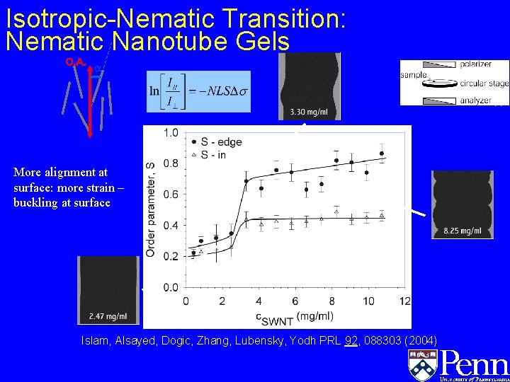 Isotropic-Nematic Transition: Nematic Nanotube Gels O. A. a (P) (A) More alignment at surface: Isotropic-Nematic Transition: Nematic Nanotube Gels O. A. a (P) (A) More alignment at surface: