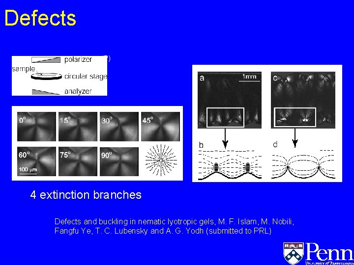 Defects (P) 4 extinction branches Defects and buckling in nematic lyotropic gels, M. F. Defects (P) 4 extinction branches Defects and buckling in nematic lyotropic gels, M. F.