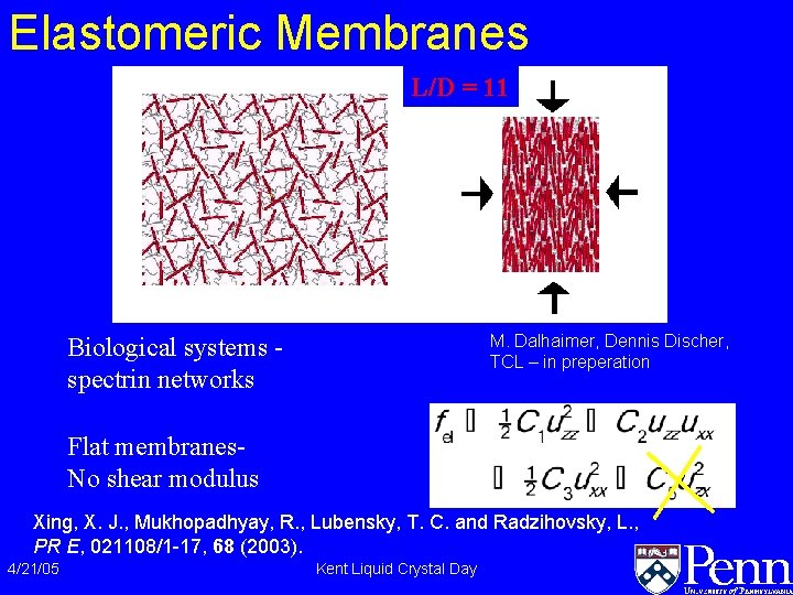 Elastomeric Membranes L/D = 11 M. Dalhaimer, Dennis Discher, TCL – in preperation Biological Elastomeric Membranes L/D = 11 M. Dalhaimer, Dennis Discher, TCL – in preperation Biological