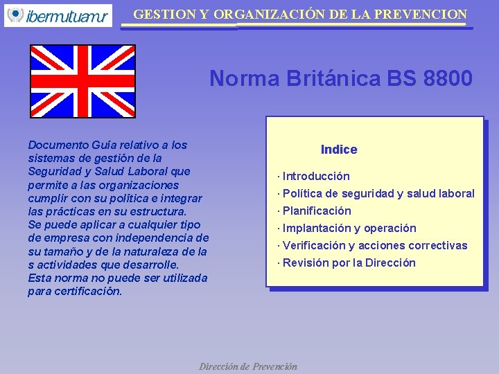 GESTION Y ORGANIZACIÓN DE LA PREVENCION Norma Británica BS 8800 Documento Guía relativo a GESTION Y ORGANIZACIÓN DE LA PREVENCION Norma Británica BS 8800 Documento Guía relativo a