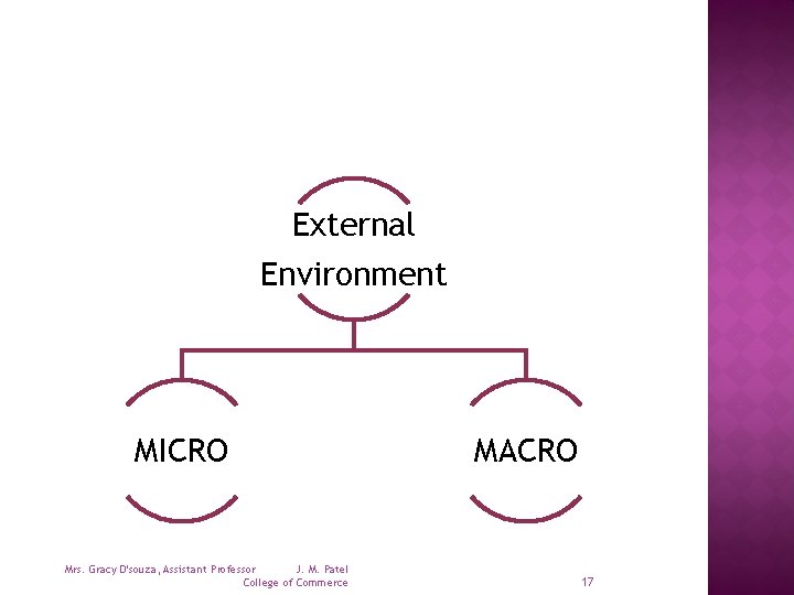 External Environment MICRO Mrs. Gracy D'souza, Assistant Professor J. M. Patel College of Commerce