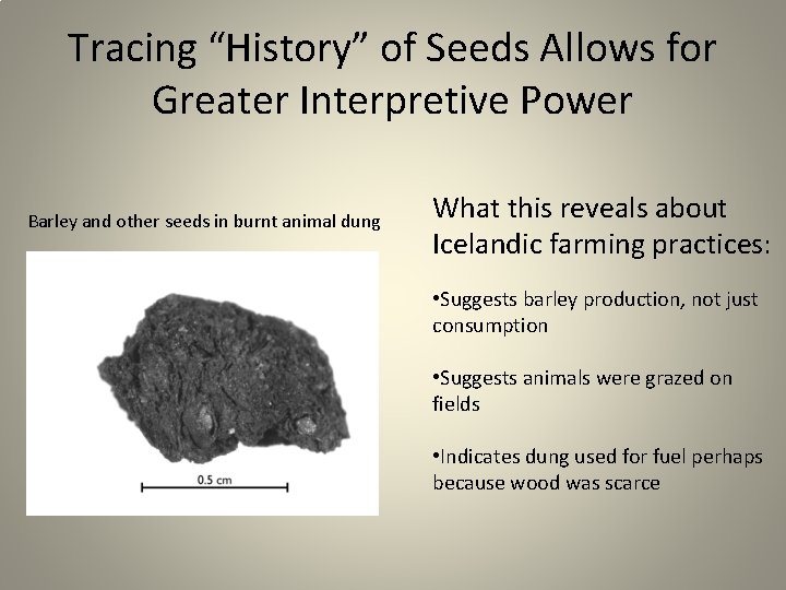 Tracing “History” of Seeds Allows for Greater Interpretive Power Barley and other seeds in