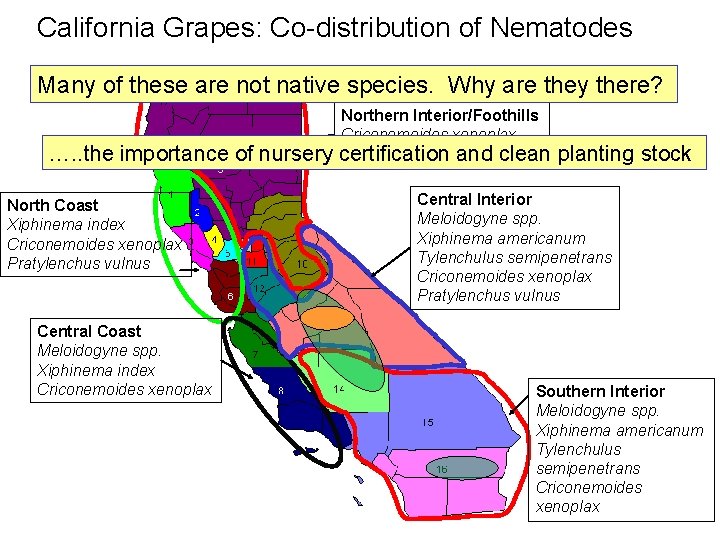 California Grapes: Co-distribution of Nematodes Many of these are not native species. Why are