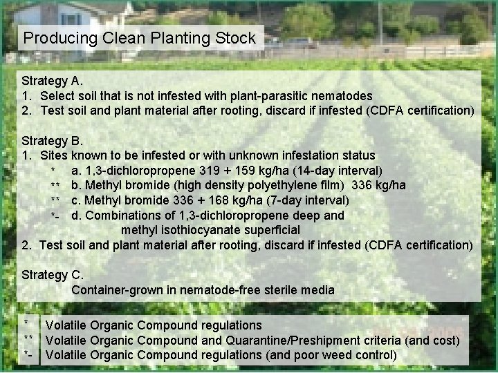 Producing Clean Planting Stock Strategy A. 1. Select soil that is not infested with