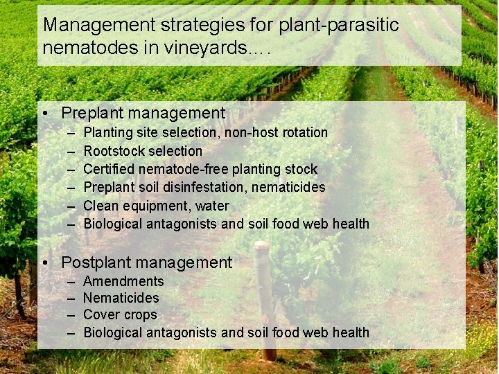 Management strategies for plant-parasitic nematodes in vineyards…. • Preplant management – – – Planting