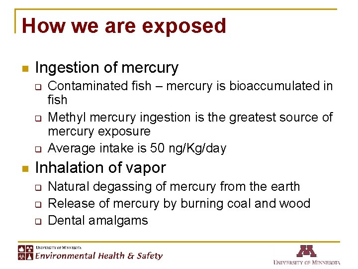 How we are exposed n Ingestion of mercury q q q n Contaminated fish