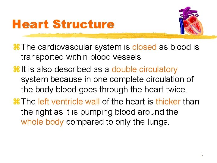 Heart Structure z The cardiovascular system is closed as blood is transported within blood