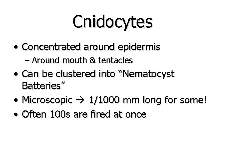 Cnidocytes • Concentrated around epidermis – Around mouth & tentacles • Can be clustered