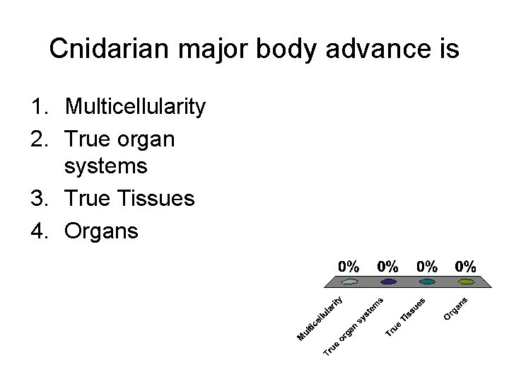 Cnidarian major body advance is 1. Multicellularity 2. True organ systems 3. True Tissues