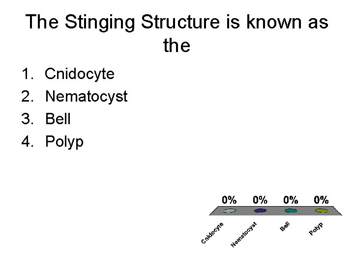 The Stinging Structure is known as the 1. 2. 3. 4. Cnidocyte Nematocyst Bell