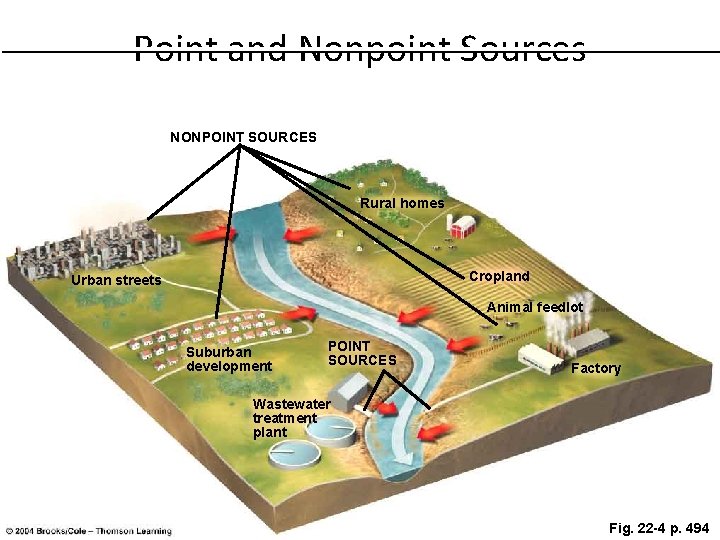 Point and Nonpoint Sources NONPOINT SOURCES Rural homes Cropland Urban streets Animal feedlot Suburban