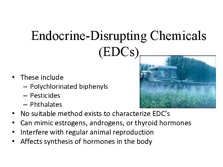 Endocrine-Disrupting Chemicals (EDCs) • These include – Polychlorinated biphenyls – Pesticides – Phthalates •