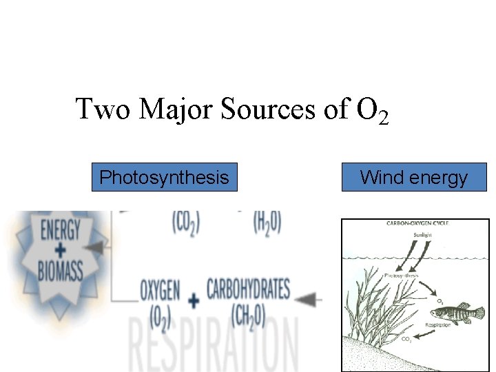 Two Major Sources of O 2 Photosynthesis Wind energy 