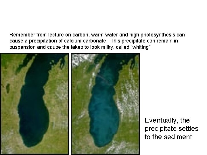 Remember from lecture on carbon, warm water and high photosynthesis can cause a precipitation