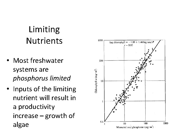 Limiting Nutrients • Most freshwater systems are phosphorus limited • Inputs of the limiting
