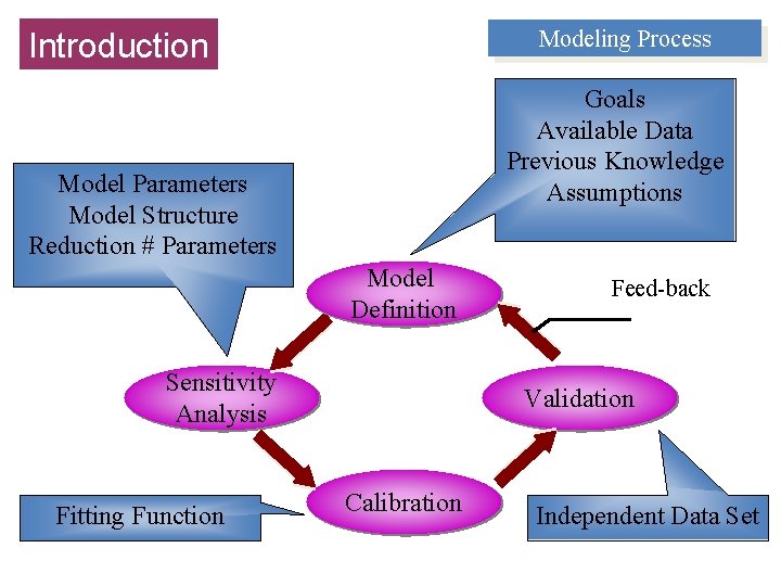 Modeling Process Introduction Goals Available Data Previous Knowledge Assumptions Model Parameters Model Structure Reduction