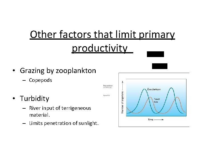 Other factors that limit primary productivity diatoms • Grazing by zooplankton – Copepods •