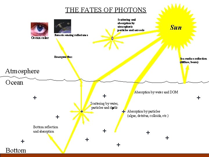 THE FATES OF PHOTONS Scattering and absorption by atmospheric particles and aerosols Ocean color