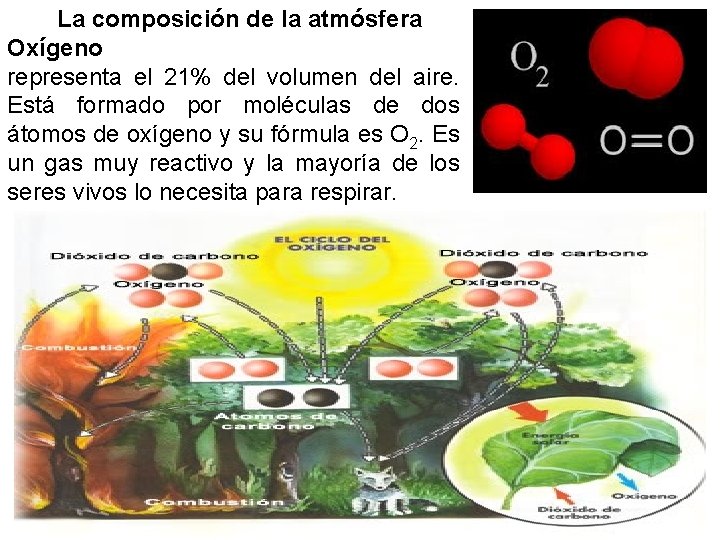  La composición de la atmósfera Oxígeno representa el 21% del volumen del aire.