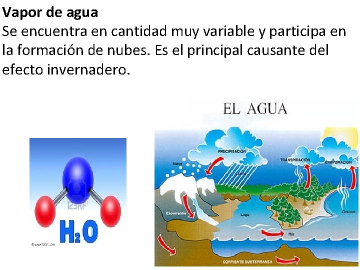 Vapor de agua Se encuentra en cantidad muy variable y participa en la formación