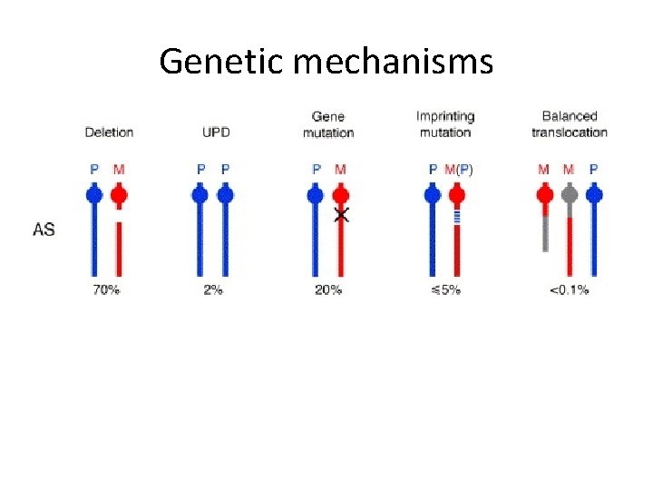 Genetic mechanisms 