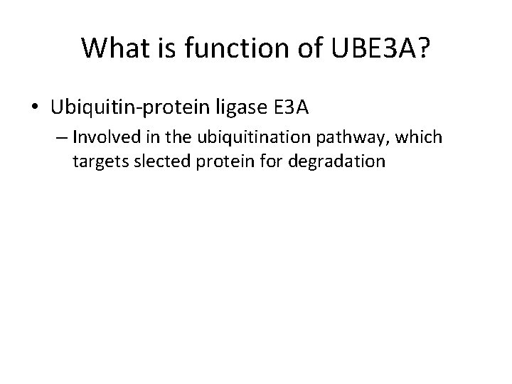 What is function of UBE 3 A? • Ubiquitin-protein ligase E 3 A –