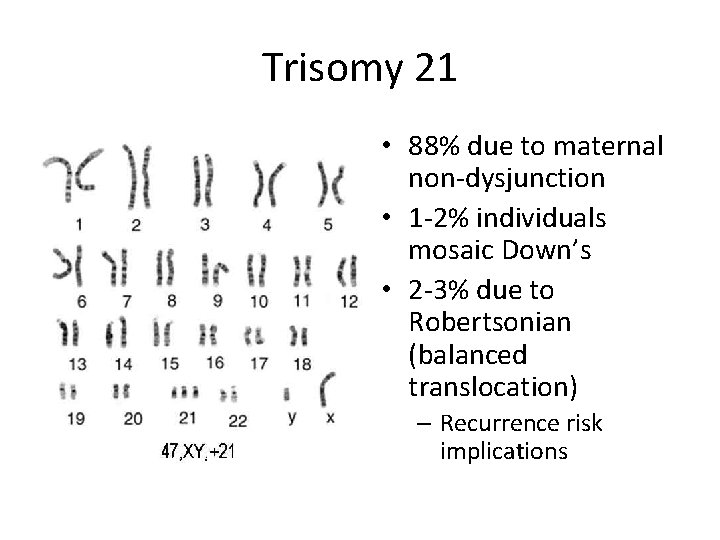 Trisomy 21 • 88% due to maternal non-dysjunction • 1 -2% individuals mosaic Down’s