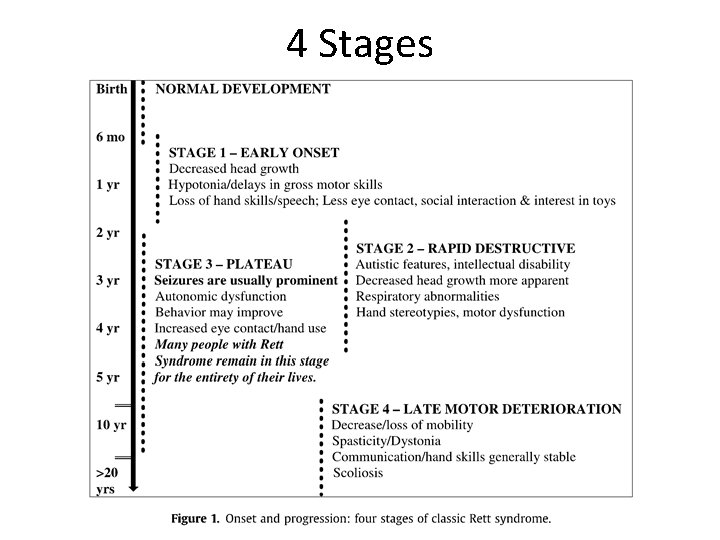 4 Stages 