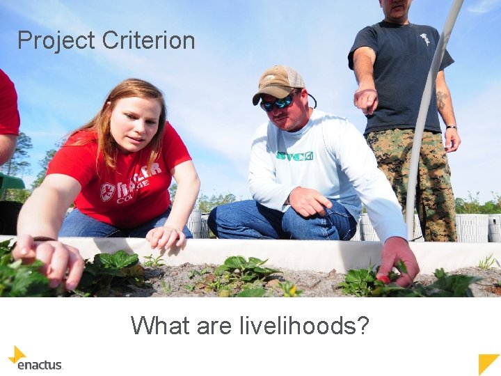 Project Criterion What are livelihoods? 