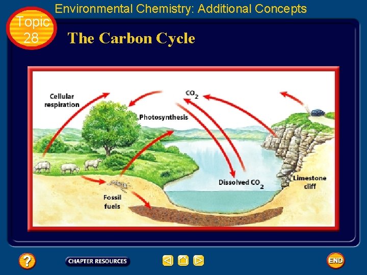 Topic 28 Environmental Chemistry: Additional Concepts The Carbon Cycle 