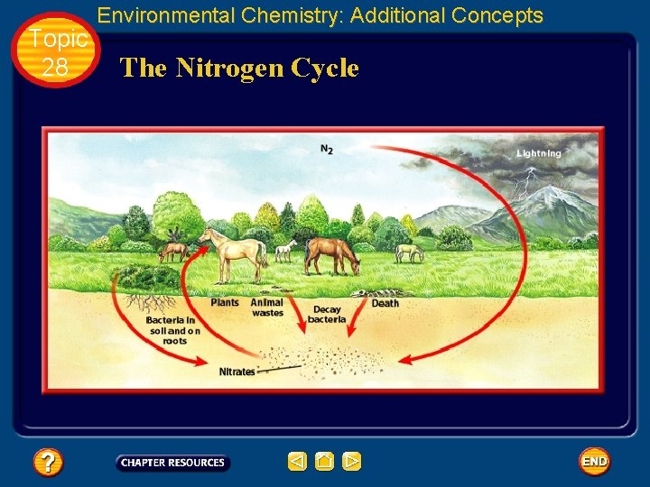 Topic 28 Environmental Chemistry: Additional Concepts The Nitrogen Cycle 